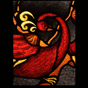 firebird detail